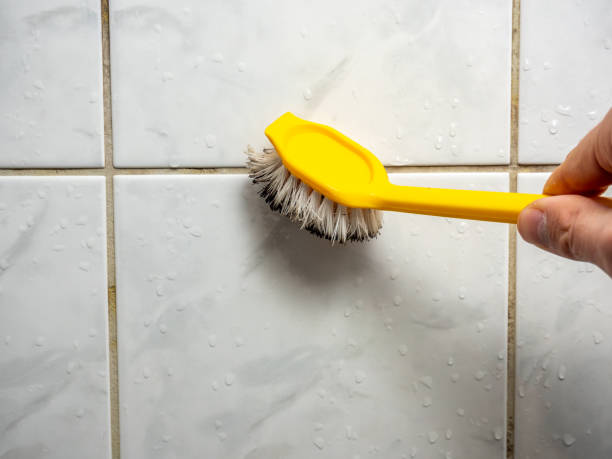 Best Residential Mold Removal  in New Baltimore, OH