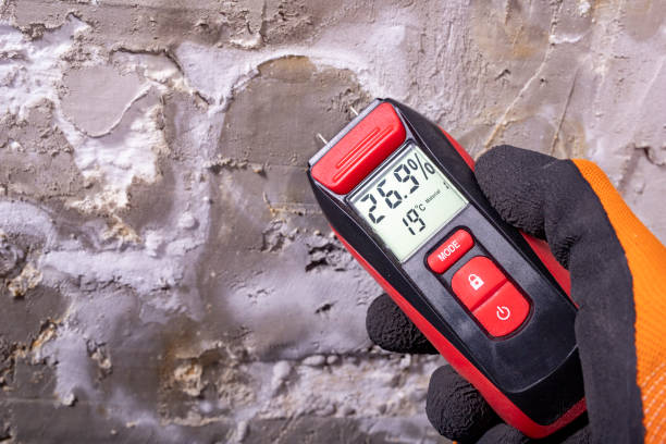 Best Toxic Mold Removal  in New Baltimore, OH