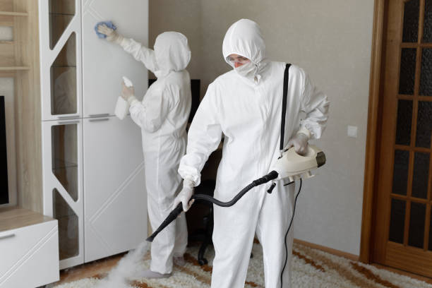 Mold Removal Process in New Baltimore, OH